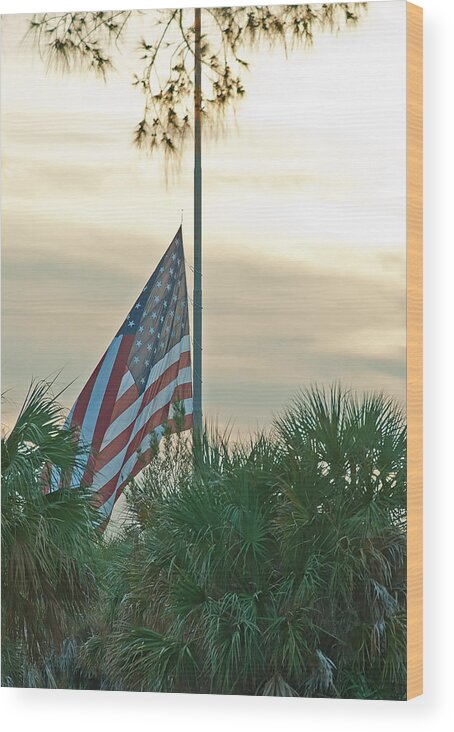 Flag Wood Print featuring the photograph Honoring A Hero by John Black