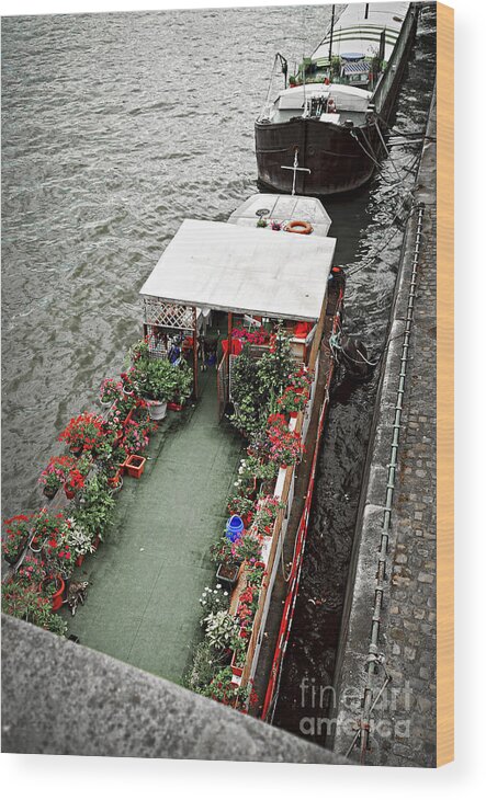 Boat Wood Print featuring the photograph Houseboats in Paris by Elena Elisseeva
