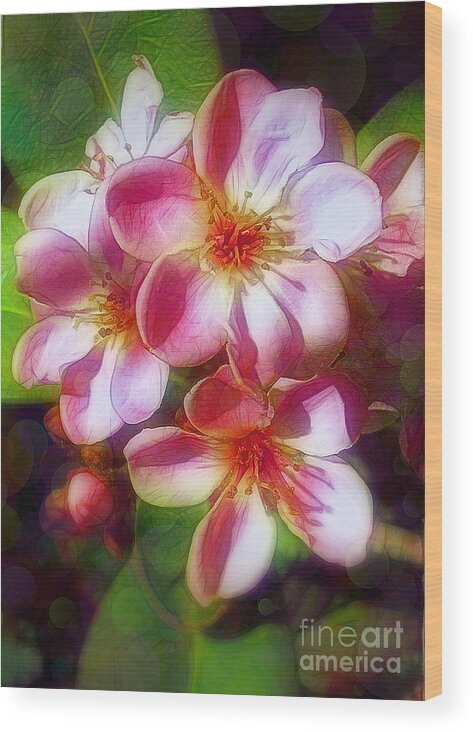 Rose Wood Print featuring the photograph India Hawthorne by Judi Bagwell