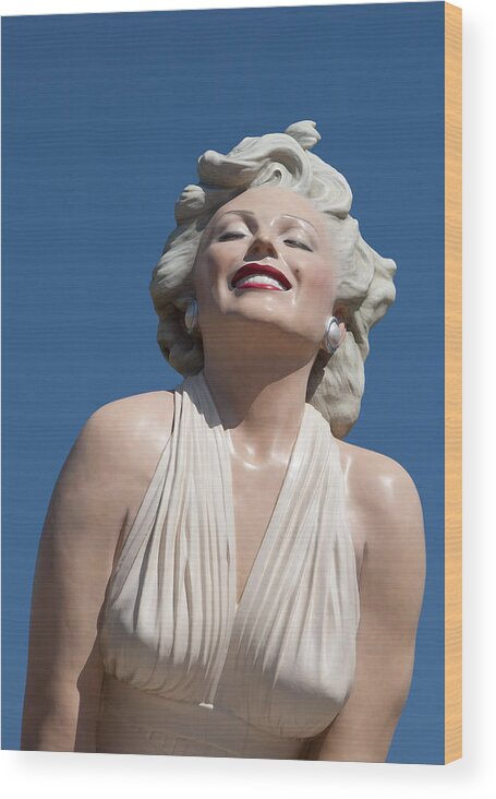 Clouds Framed Prints Wood Print featuring the photograph Marilyn in the Sun by Matthew Bamberg