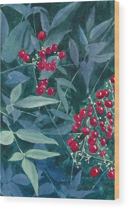 Plant Wood Print featuring the painting Nandina by Frank SantAgata
