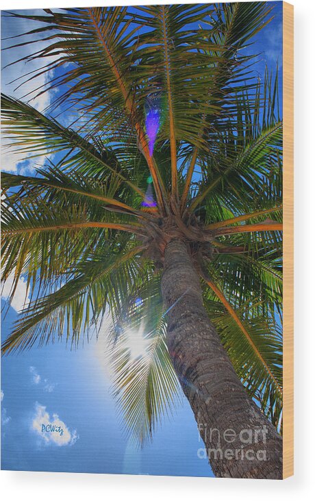 Palm Wood Print featuring the photograph Palms Up by Patrick Witz