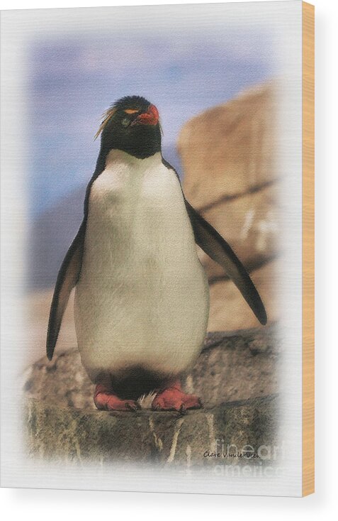 Penguin Wood Print featuring the photograph Penguin by Clare VanderVeen