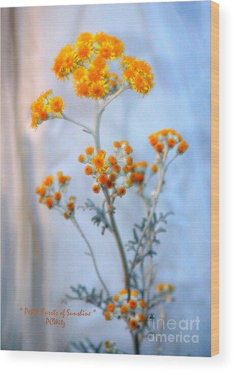 Petite Wood Print featuring the photograph Petite Bursts of Sunshine by Patrick Witz