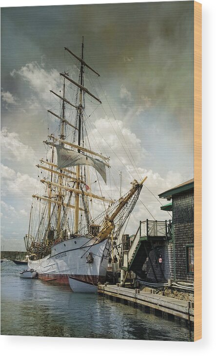 Ships Wood Print featuring the photograph Picton Castle by Robin-Lee Vieira