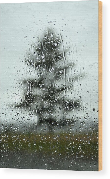 Rain On Window Wood Print featuring the photograph Rain Tree by Douglas Pike