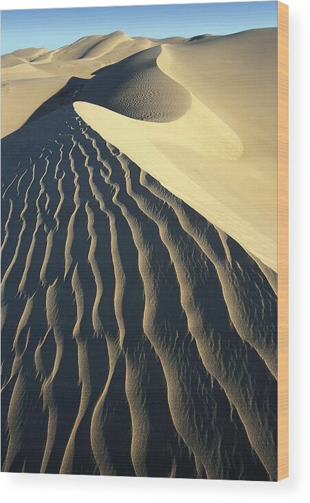 Sand Wood Print featuring the photograph Ridge Line by Bryan Allen