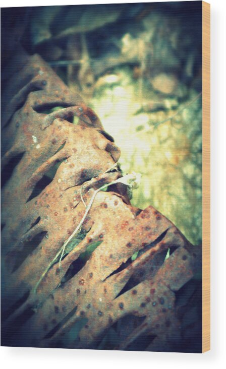 Rusty Wood Print featuring the photograph Rusted by Rachel Porostosky