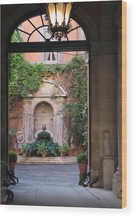 Rome Wood Print featuring the photograph Secret View in Rome by Vikki Bouffard