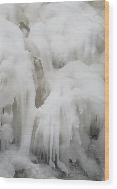 Ice Wood Print featuring the photograph Snow Bird by Azthet Photography