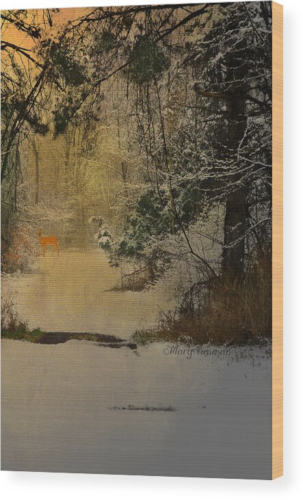 Forest Wood Print featuring the photograph Winter Path by Mary Timman