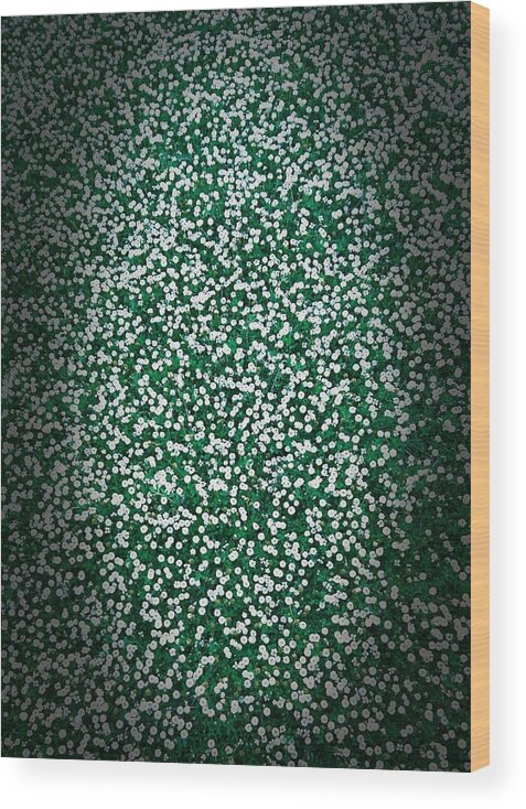 Flower Wood Print featuring the photograph Flower1 #1 by Shunsuke Kanamori