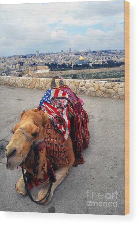 Israel Wood Print featuring the photograph Jerusalem from Mount Olive #1 by Thomas R Fletcher