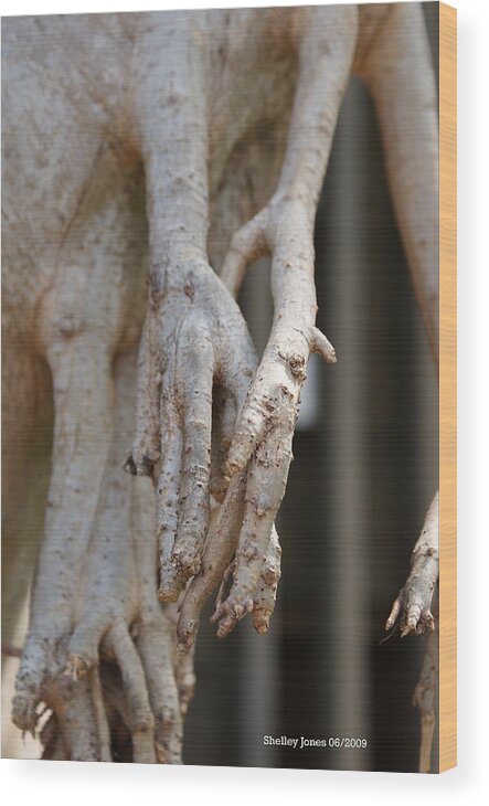 Praying Hands Wood Print featuring the photograph Nature #1 by Shelley Jones