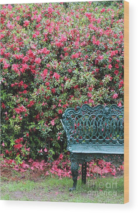 Southern Wood Print featuring the photograph Sit a Spell #1 by Carol Groenen