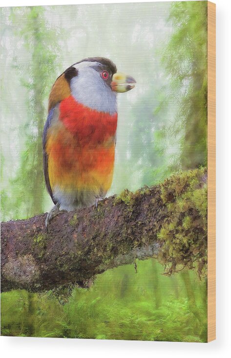  Wood Print featuring the digital art Toucan Barbet by Bill Johnson