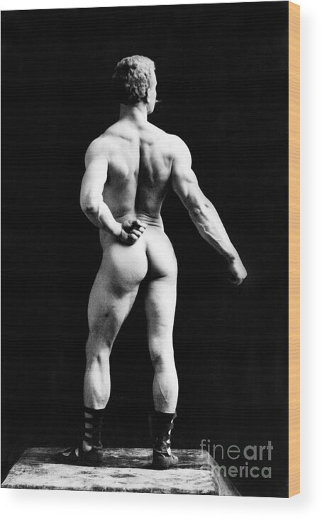 Erotica Wood Print featuring the photograph Eugen Sandow, Father Of Modern #13 by Science Source