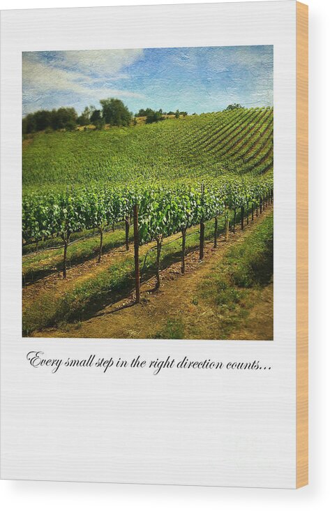 Vineyards Wood Print featuring the photograph 146 Fxq by Charlene Mitchell