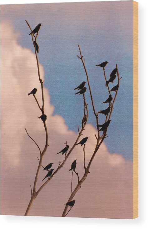 Birds Wood Print featuring the photograph 19 Blackbirds by Steve Karol