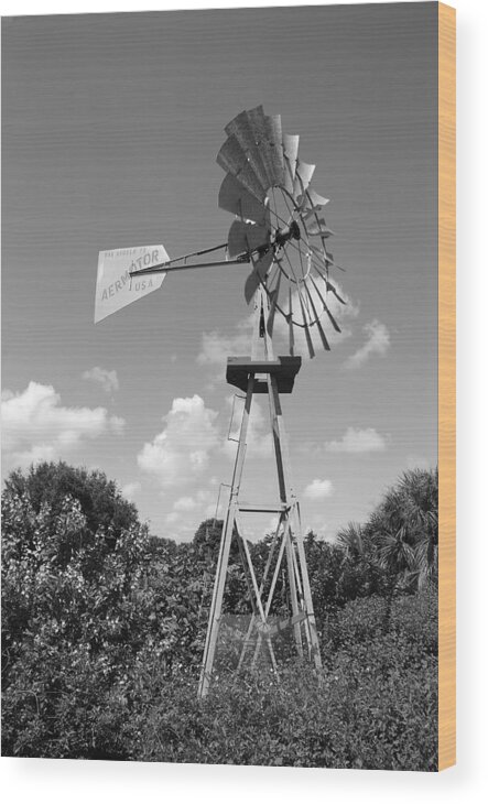 Black And White Wood Print featuring the photograph Aermotor Windmill #3 by Rob Hans