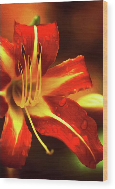 Orange Wood Print featuring the painting Orange Flower #4 by Prince Andre Faubert