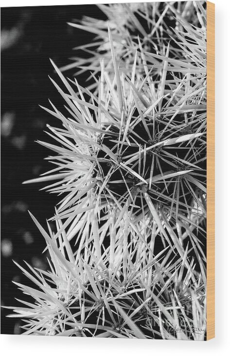 Cactus Wood Print featuring the photograph A Prickly Subject by Adam Morsa