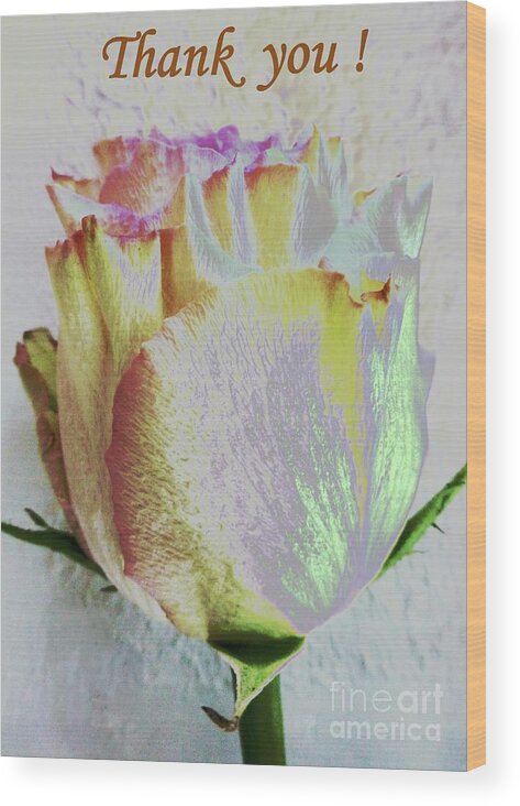 Thanks Wood Print featuring the photograph A rose to thank you by Barbie Corbett-Newmin