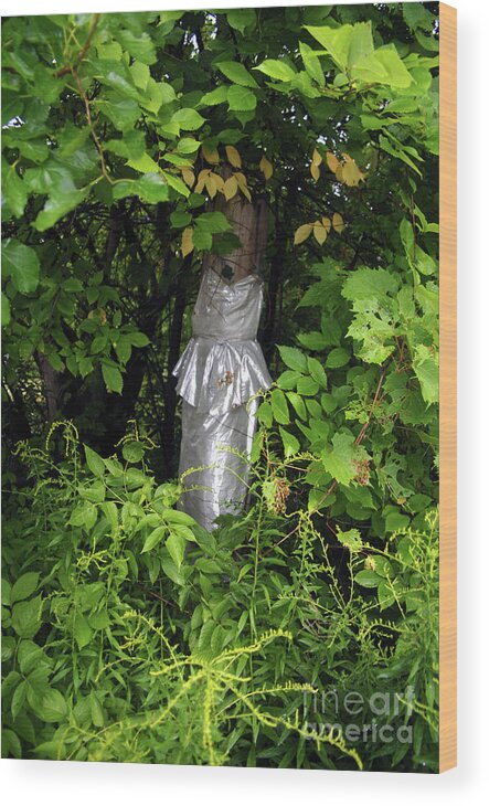 Clothes Wood Print featuring the photograph A Silver Gown In A Glade by Walter Neal