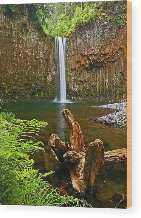 Waterfall Wood Print featuring the photograph Abiqua Falls Oregon by Ulrich Burkhalter