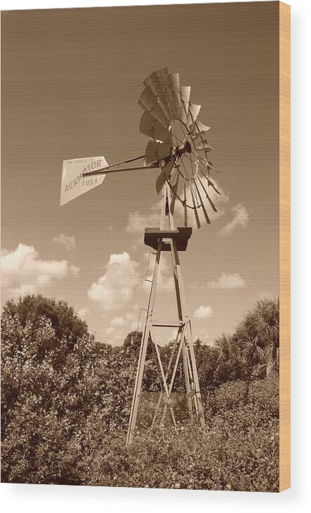 Sepia Wood Print featuring the photograph Aermotor Windmill by Rob Hans