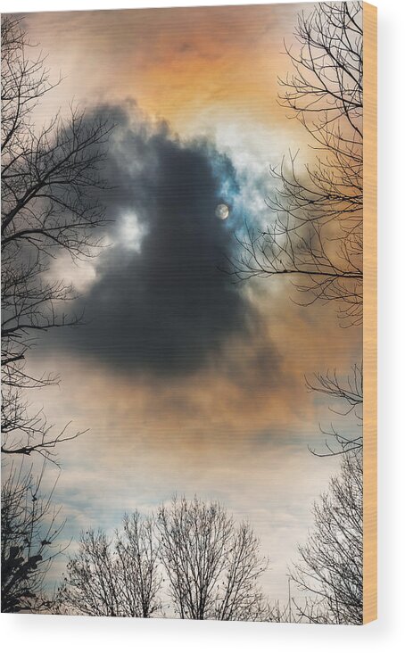 321 After The Storm Landscape Color Trees Sky Sun Clouds Winter New Jersey Nj Usa United States Outside Afternoon Daylight Cloudy Vertical Tall Contrasts Orange Blue White Black Silhouette Steve Steven Maxx Photography Photo Photographs Wood Print featuring the photograph After the Storm by Steven Maxx