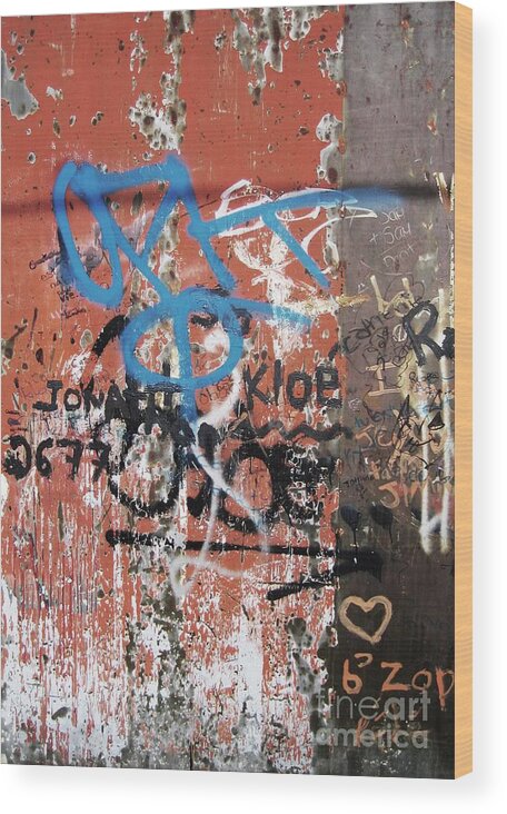 Graffitti Wood Print featuring the photograph Aging Walls by Reb Frost
