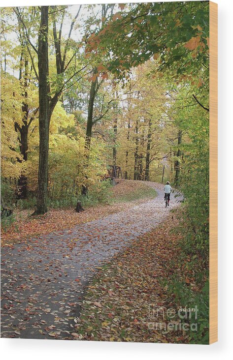 Fall Colors Wood Print featuring the photograph Autumn Bicycling Vertical Two by Felipe Adan Lerma