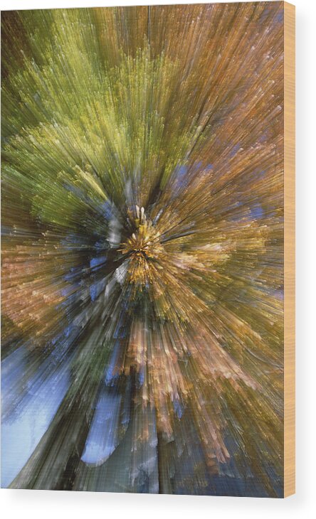Mp Wood Print featuring the photograph Autumn Foliage, Abstract by Konrad Wothe