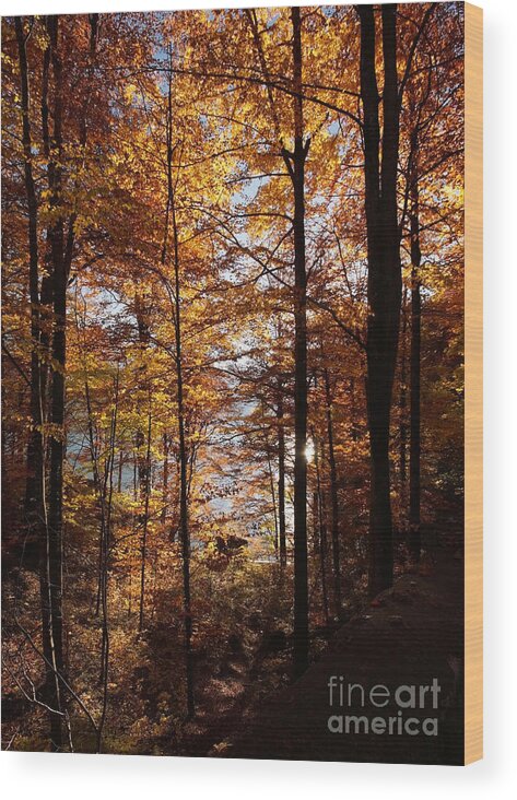 Prott Wood Print featuring the photograph Autumn In The Alps 4 by Rudi Prott