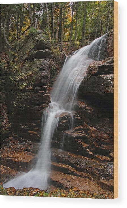 Avalanche Falls Wood Print featuring the photograph Avalanche Falls by Juergen Roth