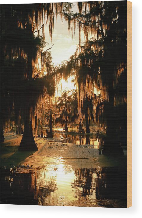 Fire Wood Print featuring the photograph Bayou Fire by Nicholas Blackwell