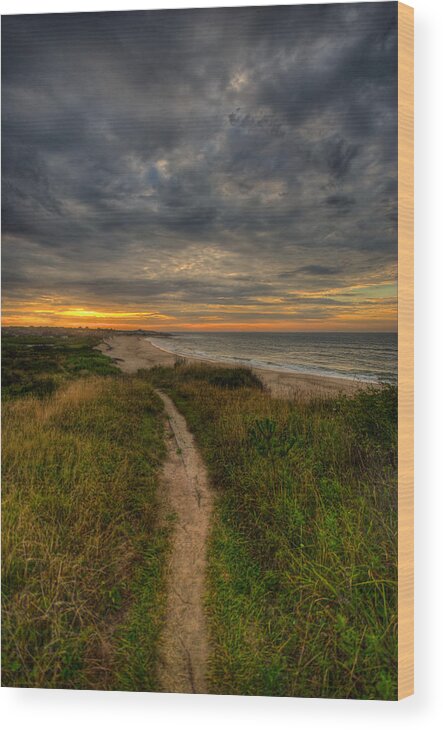 Beach Wood Print featuring the photograph Beach Trail by Mike Horvath