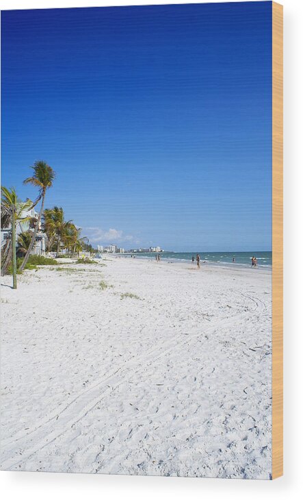 Florida Wood Print featuring the photograph Beachy White Sands by Florene Welebny