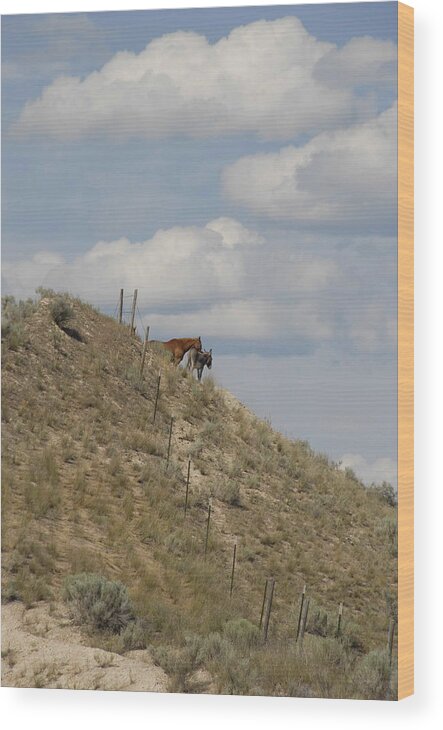 Horse Wood Print featuring the photograph Best of Friends by Jody Lovejoy