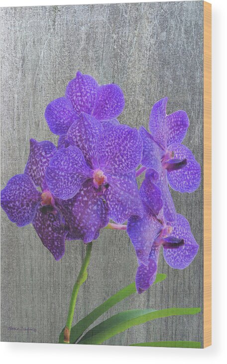 Orchid Wood Print featuring the photograph Purple Dendrobium Orchids by Rosalie Scanlon