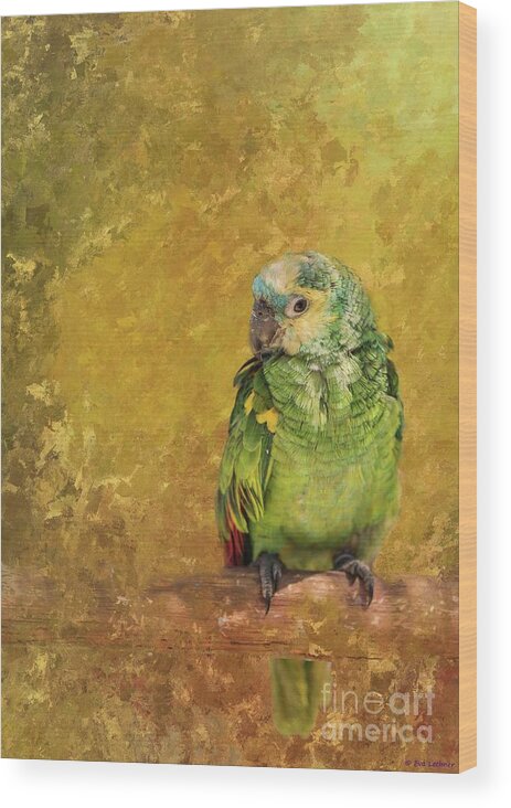 Blue-fronted Amazon Wood Print featuring the photograph Blue-Fronted Amazon by Eva Lechner