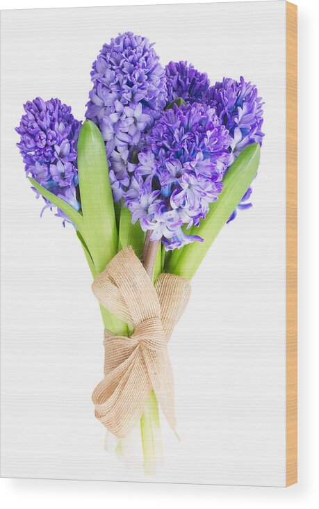 Blue Wood Print featuring the photograph Blue Hyacinth by Anastasy Yarmolovich