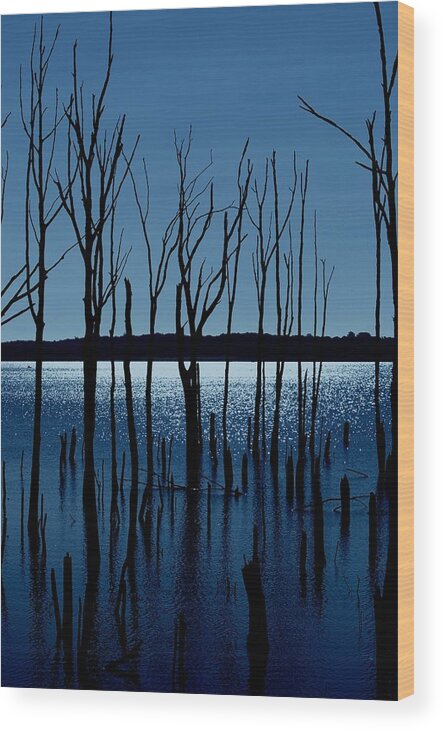 Nature Landscapes Wood Print featuring the photograph Blue Reservoir - Manasquan Reservoir by Angie Tirado