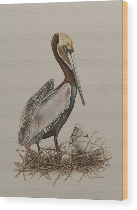 Borwn Pelican Wood Print featuring the painting Brown Pelican and Chicks by Laurie Tietjen