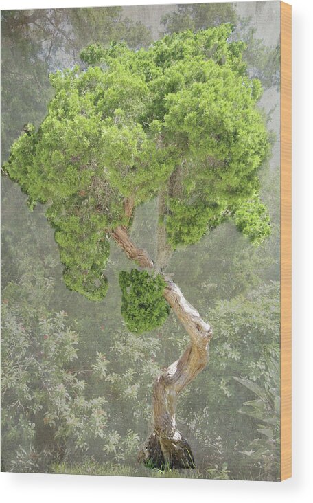 Tree Wood Print featuring the photograph Bunny Tree by Rosalie Scanlon