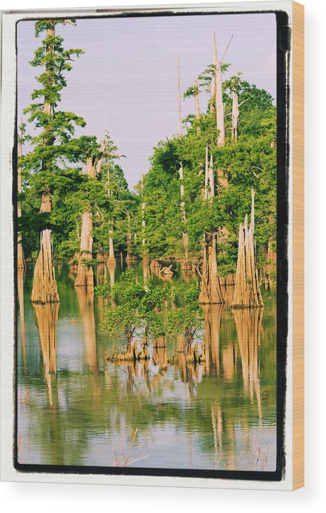 Water Wood Print featuring the photograph Calm Bayou by Karen Wagner
