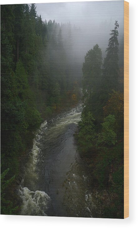 Vancouver Wood Print featuring the photograph Capilano Canyon by Steven Richman
