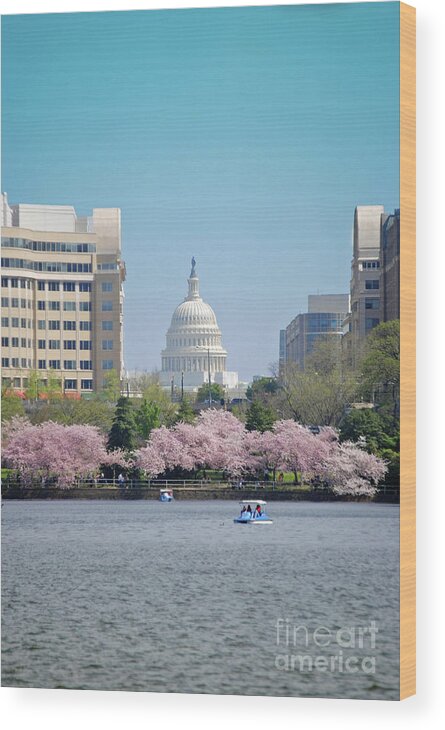 Cherry Wood Print featuring the photograph Capitol Blossoms by Jost Houk