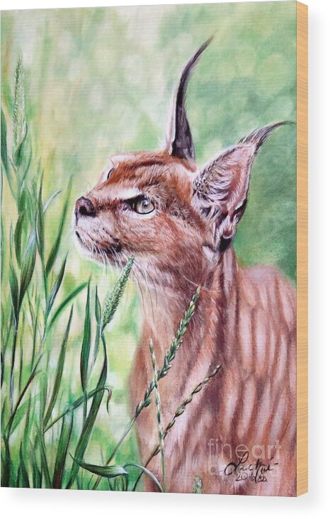 Caracal Wood Print featuring the painting Caracal by Lachri